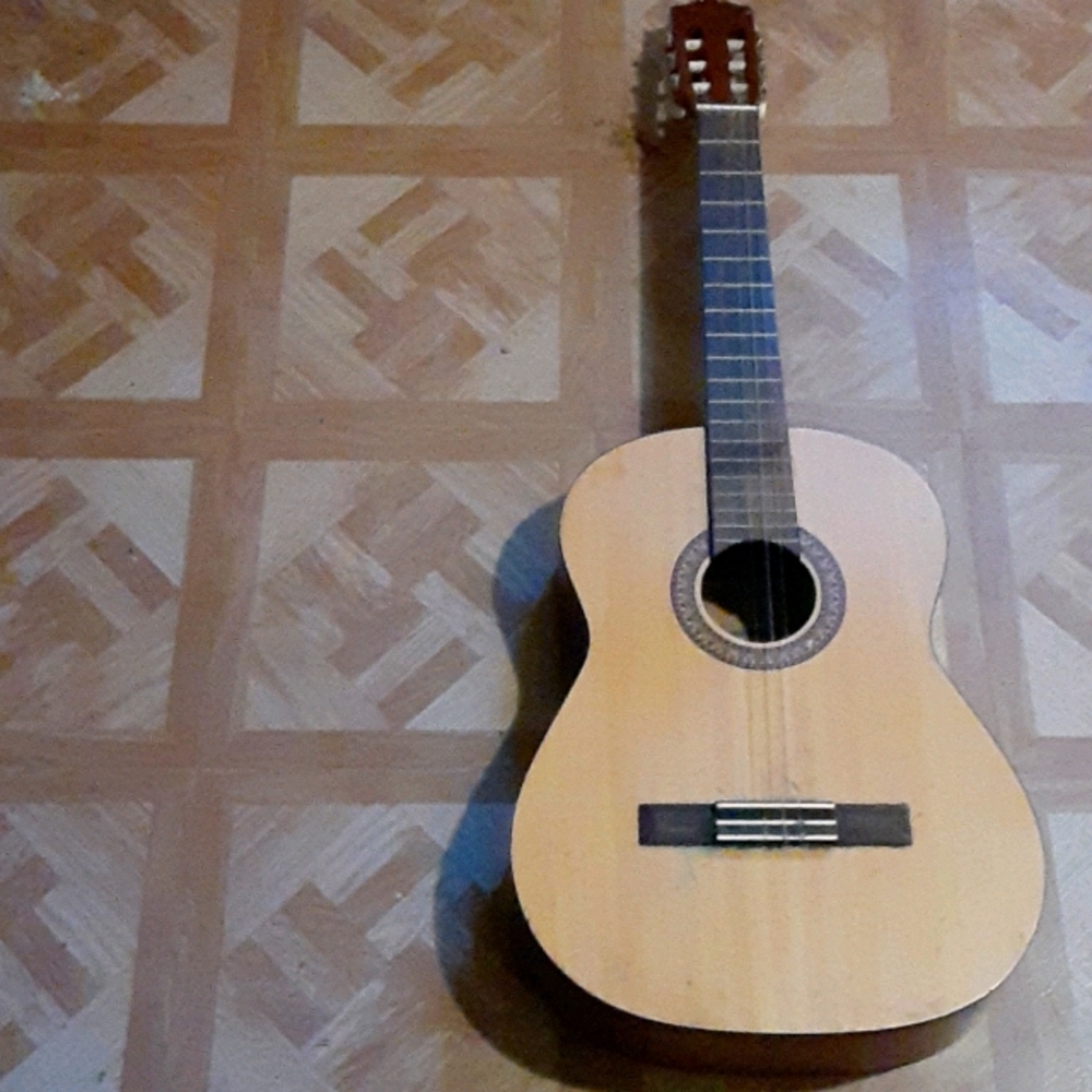 Guitar